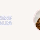 Fibras vegetales