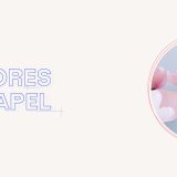 Flores de papel