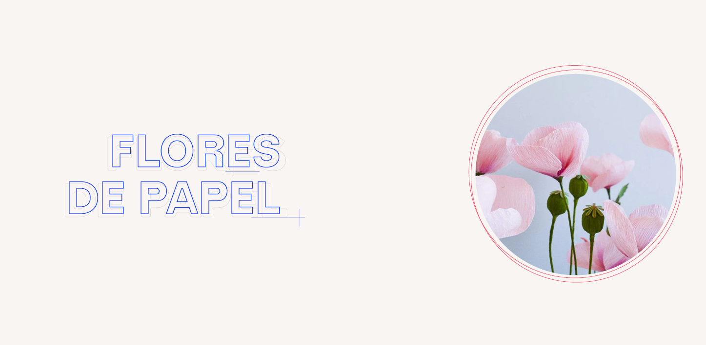 Flores de papel