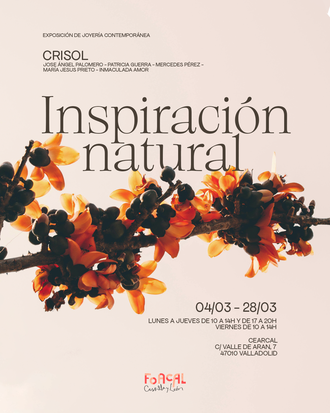 Exposición joyería contemporánea en Valladolid