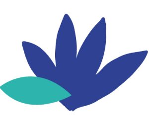 formacion-ecocreadores